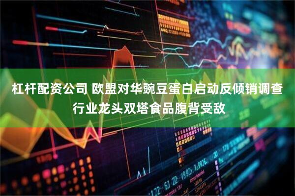 杠杆配资公司 欧盟对华豌豆蛋白启动反倾销调查 行业龙头双塔食品腹背受敌