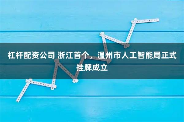 杠杆配资公司 浙江首个，温州市人工智能局正式挂牌成立